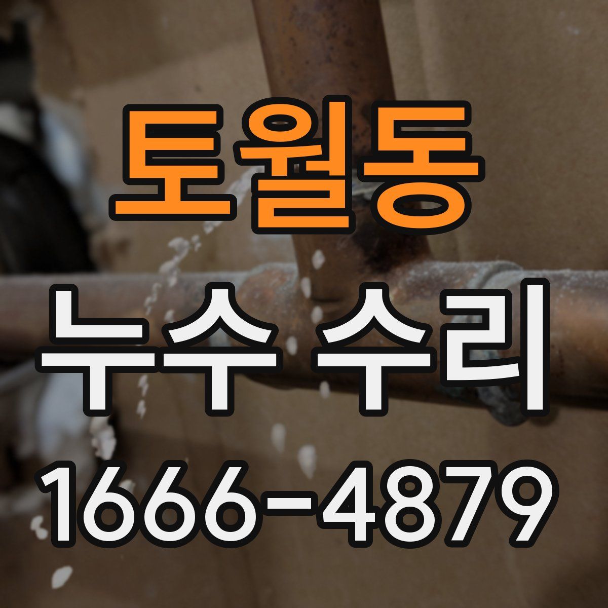 토월동 누수 수리
