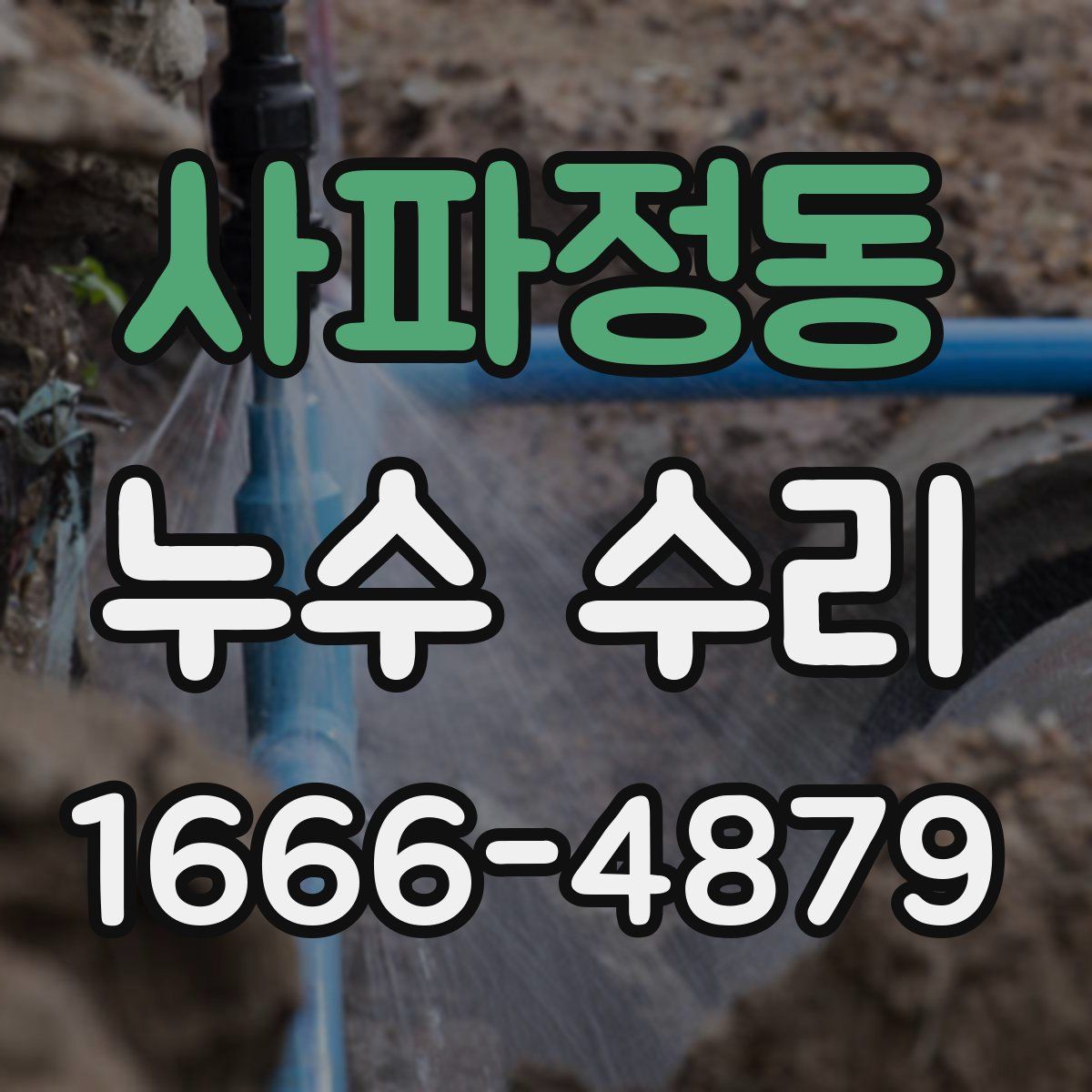 사파정동 누수 수리