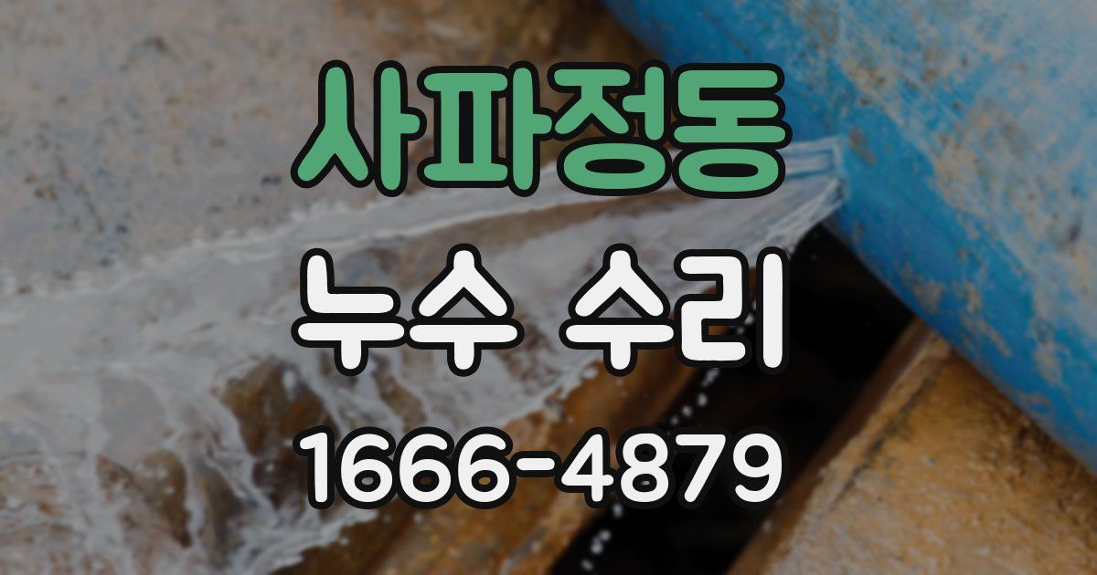 사파정동 누수 수리
