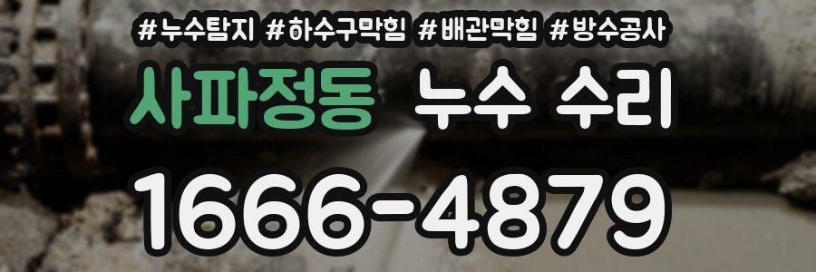 사파정동 누수 수리