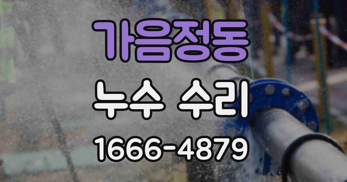가음정동 누수 수리