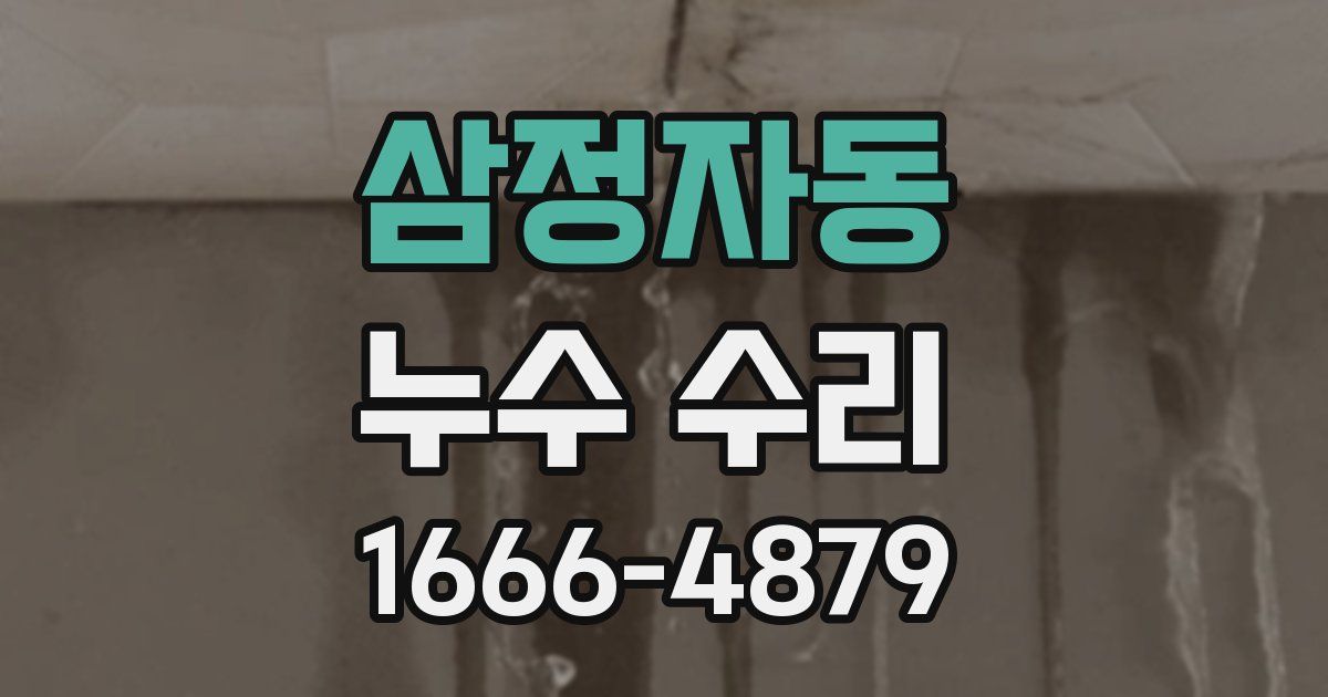 삼정자동 누수 수리