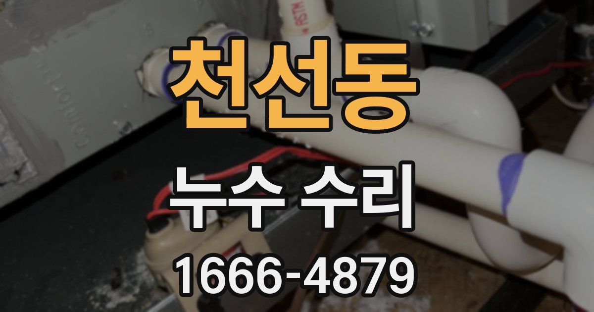 천선동 누수 수리