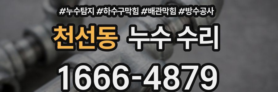 천선동 누수 수리
