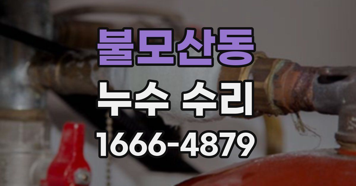 불모산동 누수 수리