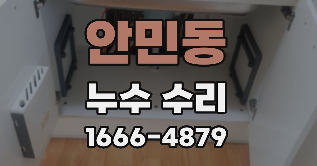 안민동 누수 수리