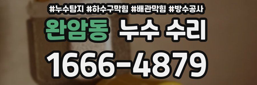 완암동 누수 수리