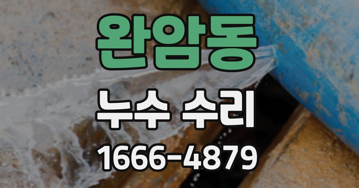완암동 누수 수리