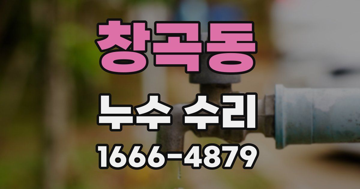 창곡동 누수 수리