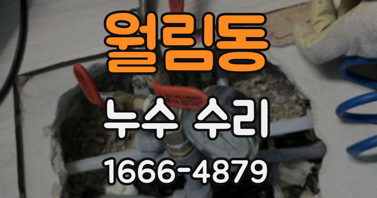 월림동 누수 수리