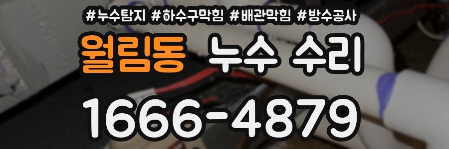 월림동 누수 수리