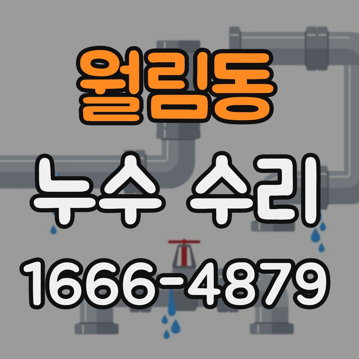 월림동 누수 수리