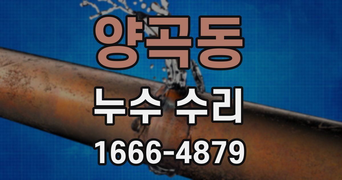 양곡동 누수 수리