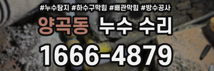 양곡동 누수 수리