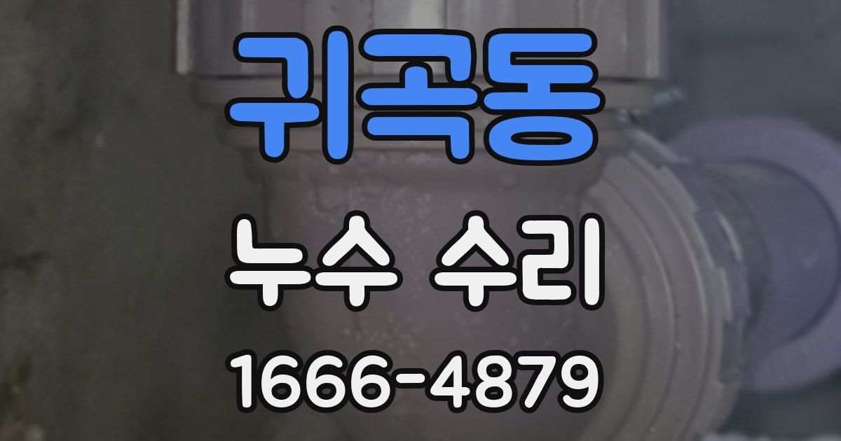 귀곡동 누수 수리
