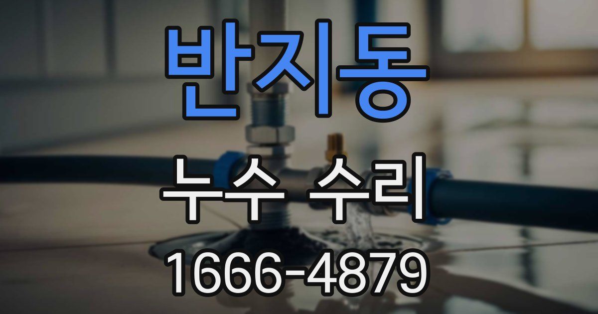 반지동 누수 수리