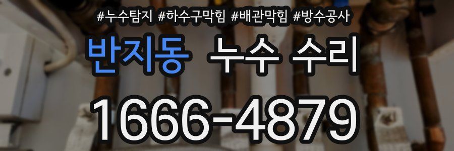 반지동 누수 수리