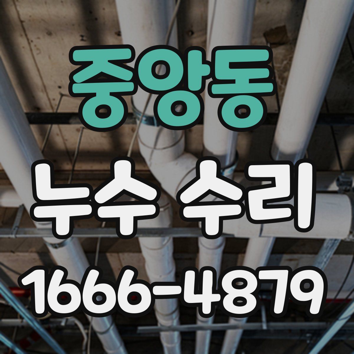 중앙동 누수 수리
