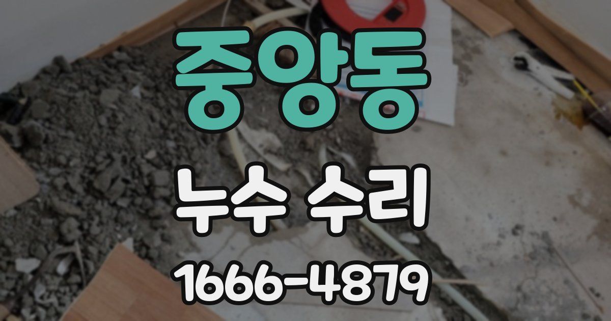 중앙동 누수 수리