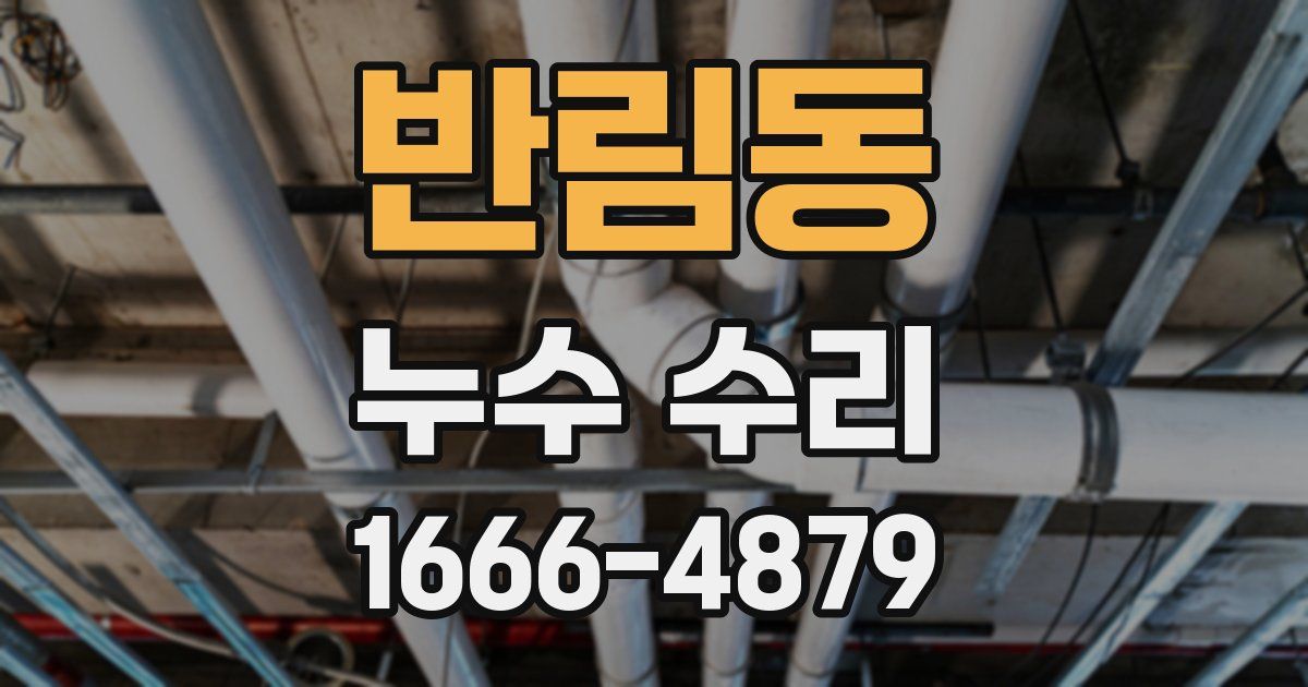 반림동 누수 수리