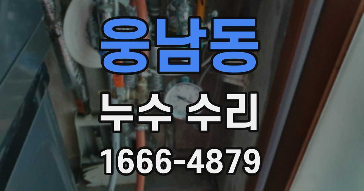 웅남동 누수 수리