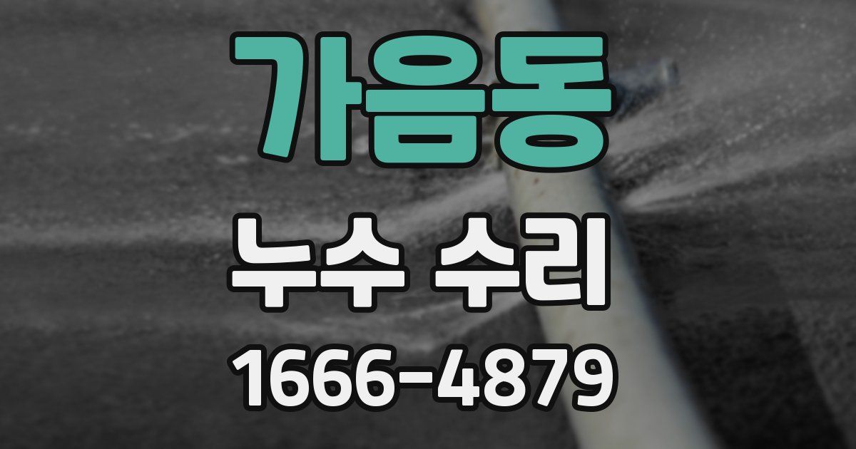 가음동 누수 수리