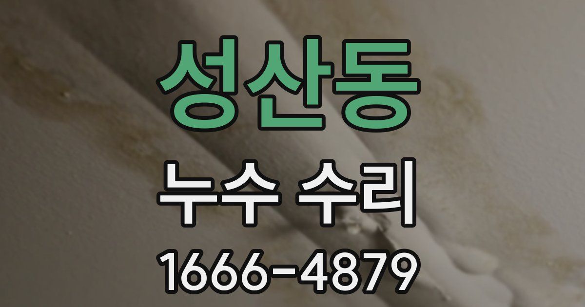 성산동 누수 수리