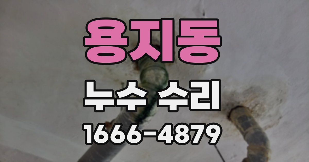 용지동 누수 수리