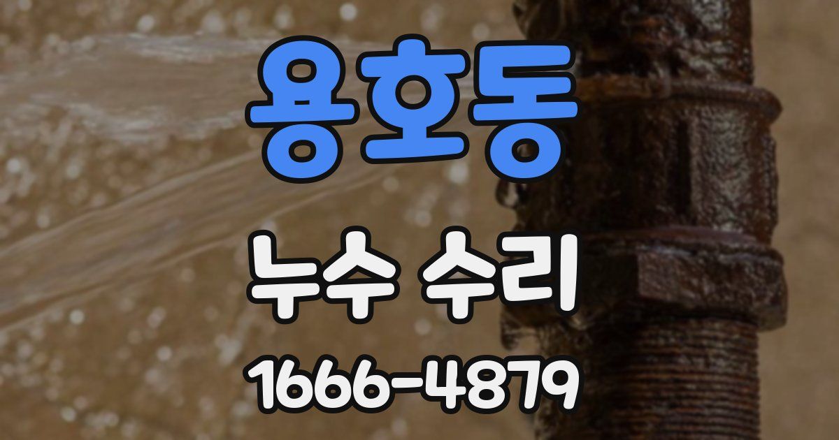 용호동 누수 수리