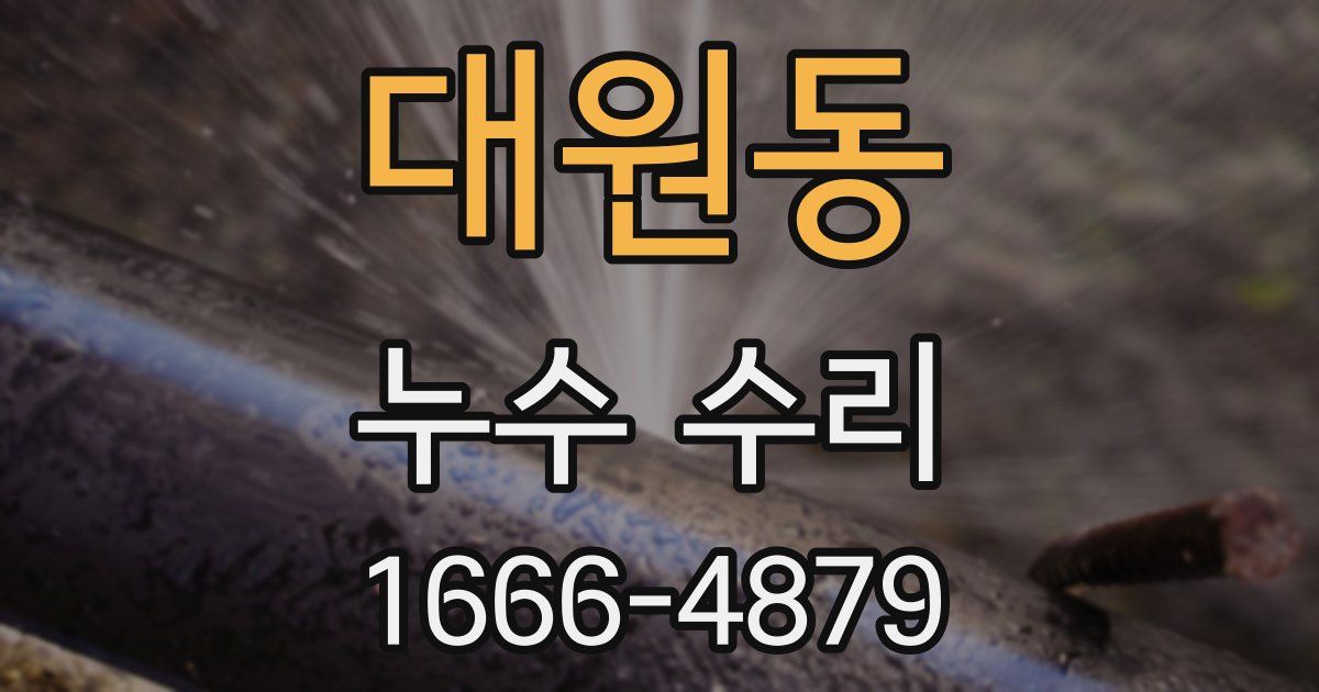 대원동 누수 수리