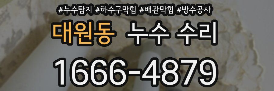 대원동 누수 수리