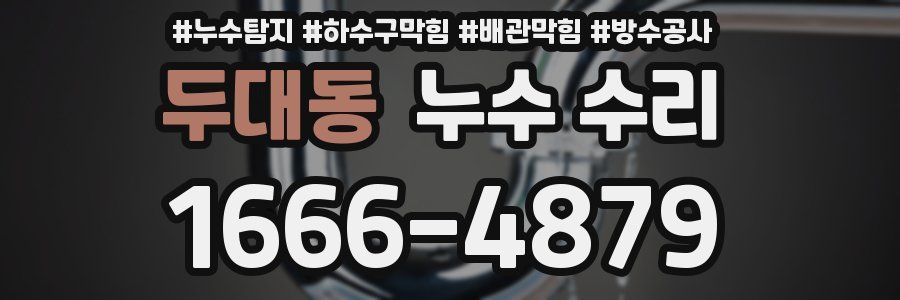 두대동 누수 수리