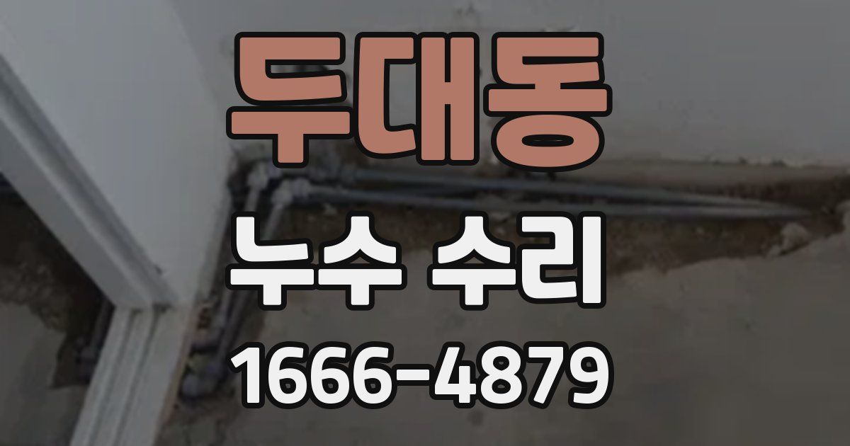 두대동 누수 수리