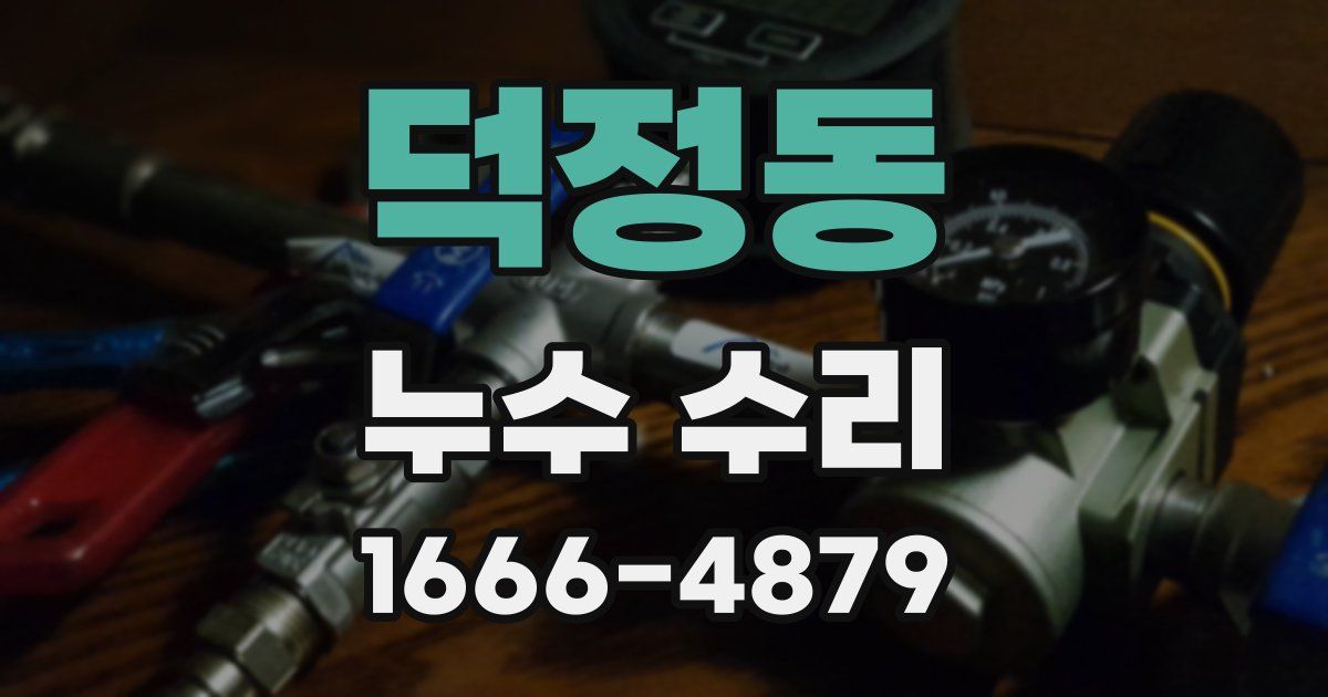 덕정동 누수 수리
