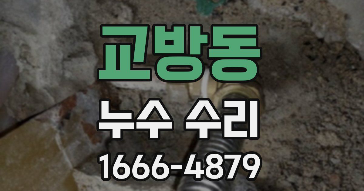 교방동 누수 수리