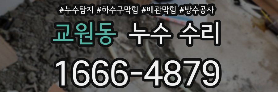 교원동 누수 수리