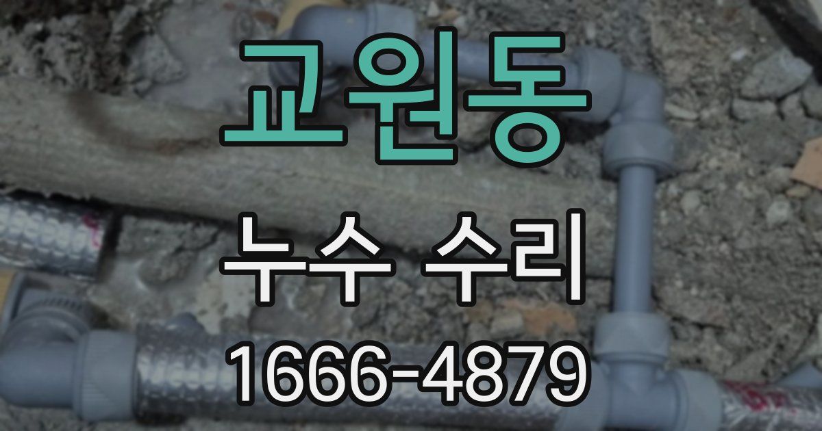 교원동 누수 수리