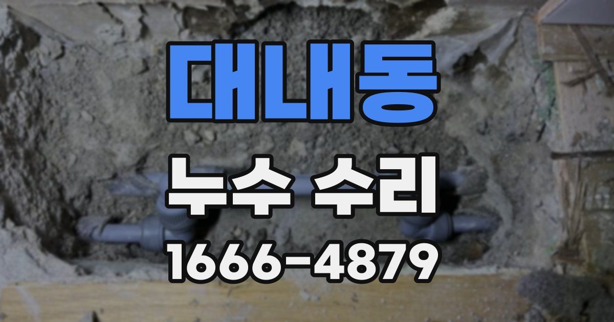대내동 누수 수리