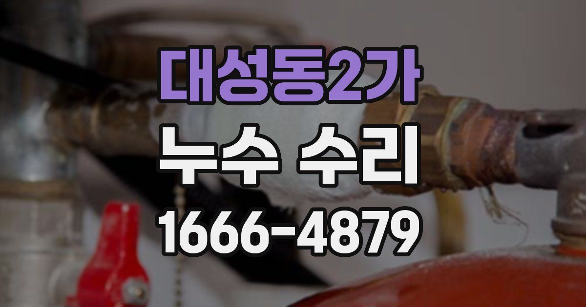 대성동2가 누수 수리