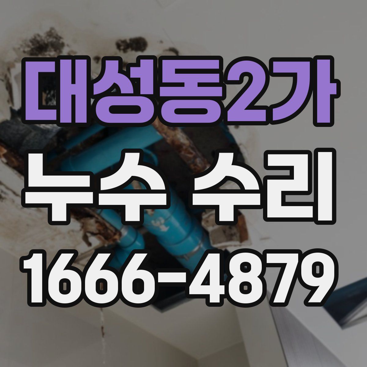 대성동2가 누수 수리