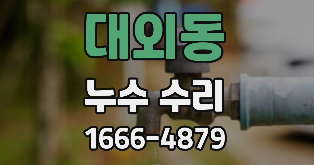 대외동 누수 수리