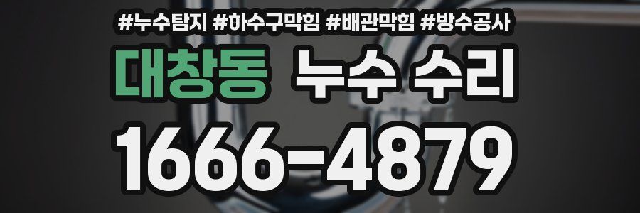 대창동 누수 수리
