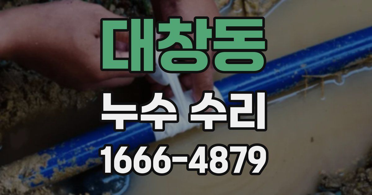 대창동 누수 수리