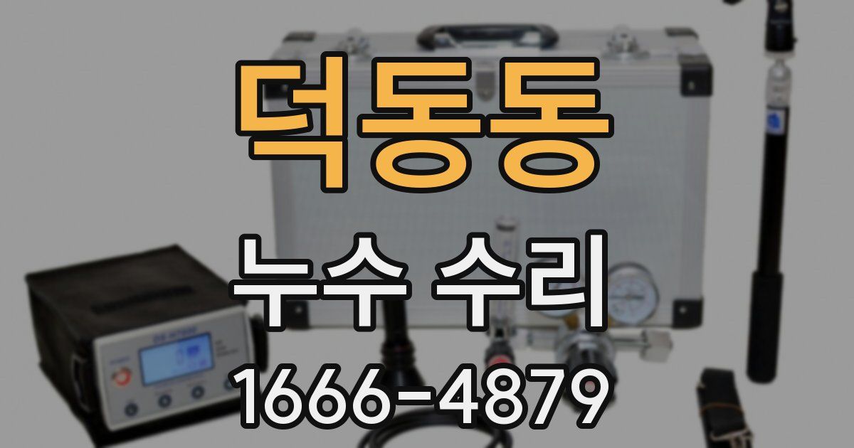 덕동동 누수 수리