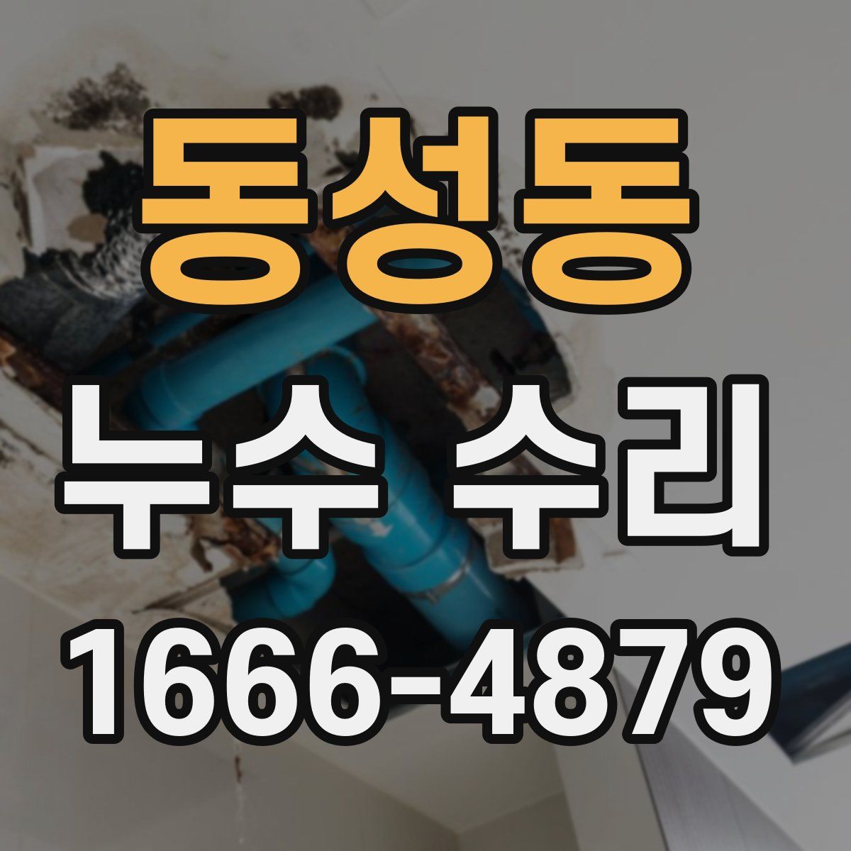 동성동 누수 수리
