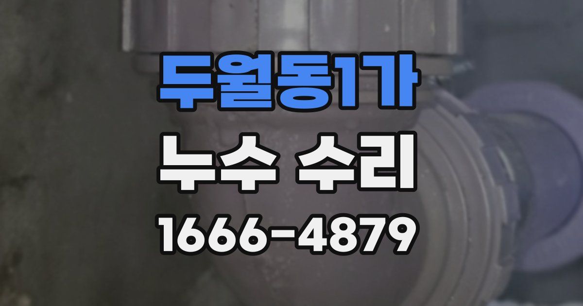 두월동1가 누수 수리