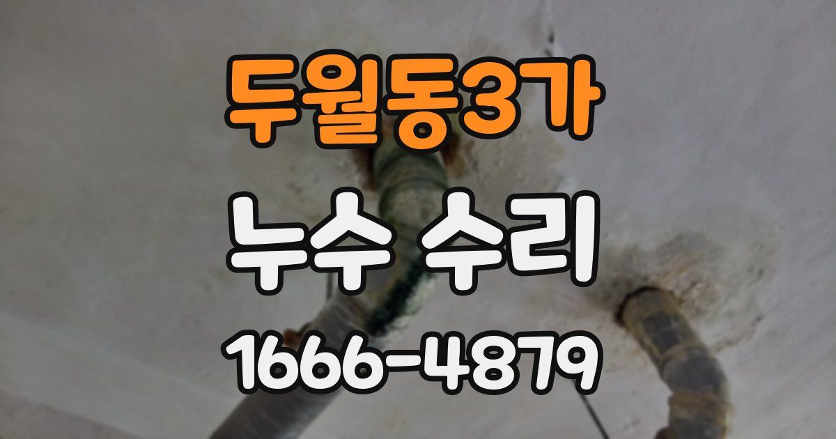 두월동3가 누수 수리