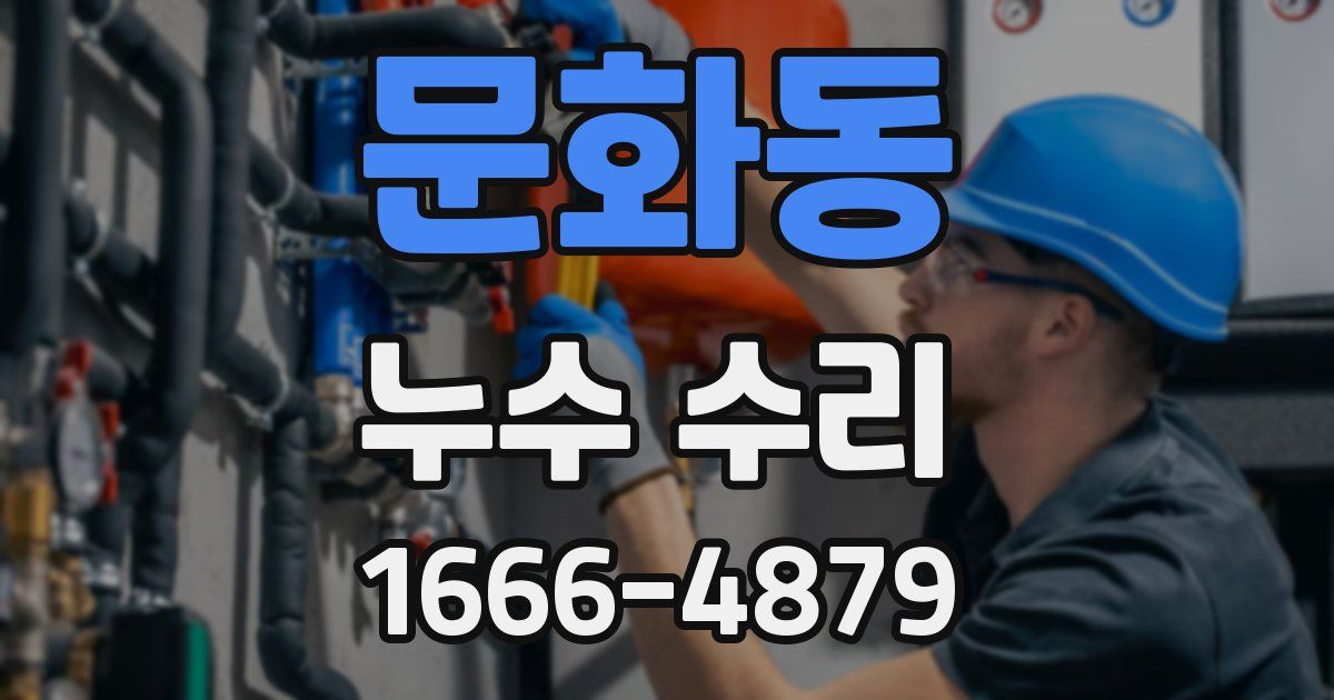 문화동 누수 수리