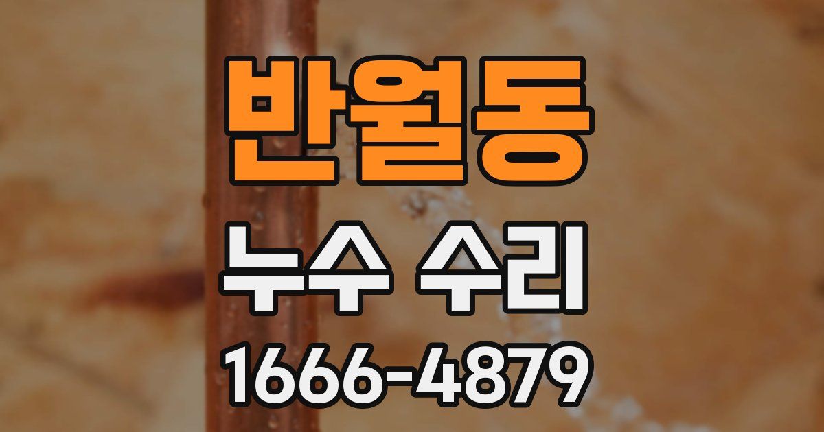 반월동 누수 수리