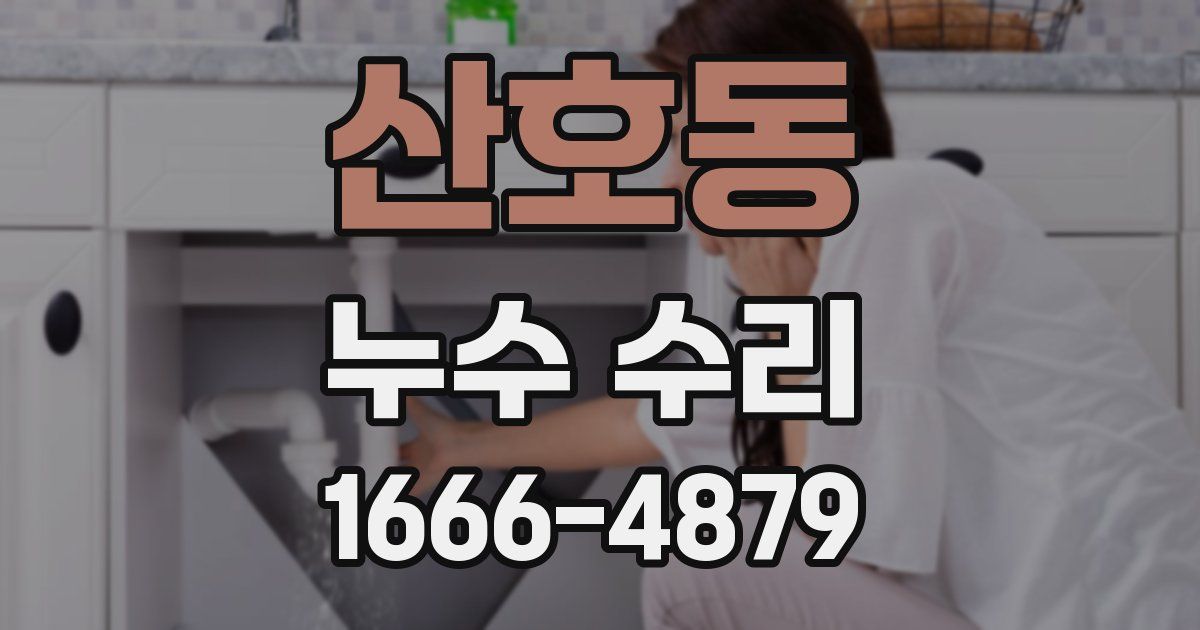 산호동 누수 수리